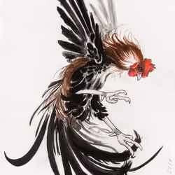 Rooster