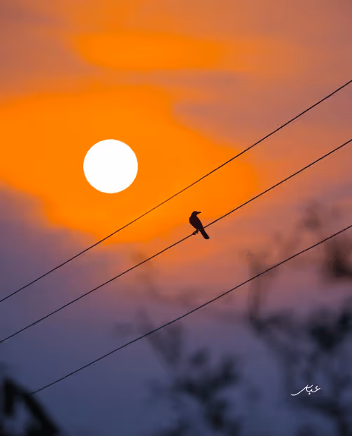 Item #9104047852343460824823657095955061139286762947505329334286274266484938113025 Media