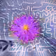 87010381111465546446533837784739915015969227836849701116768191741404743991297