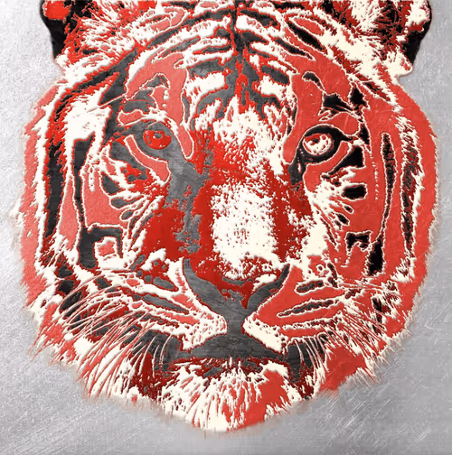 Item #86237857260230094109351666257840853512560942503418433082652455691084401475684 Media