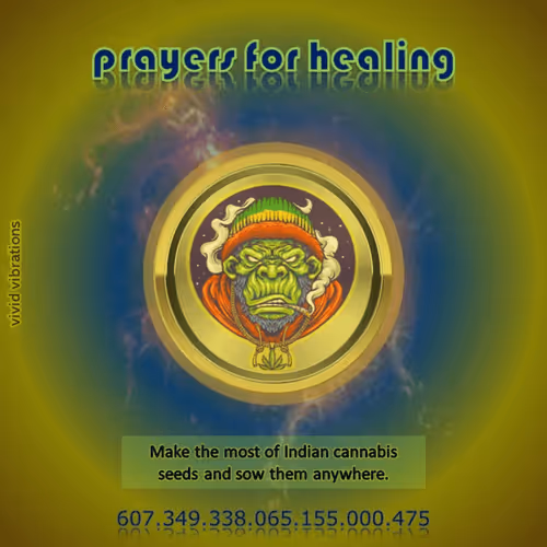 Item #37906976869442085330712623279975446879096012943595233164340902808939848008568 Media