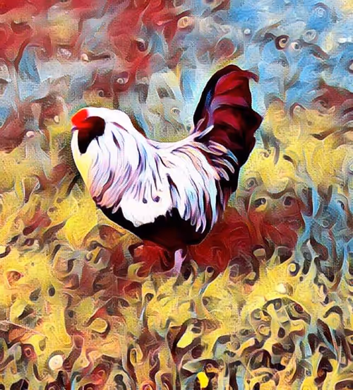 Item #47237781251135923353742950703176233702215495695736078562832556049974404579329 Media