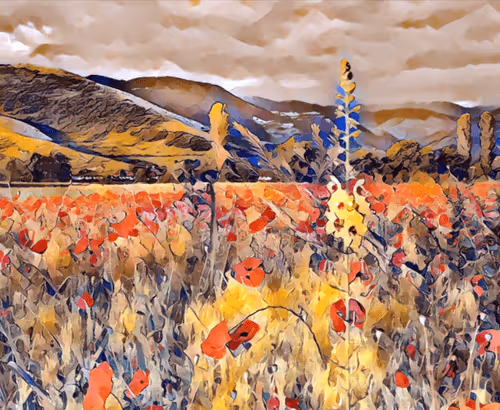 Item #57500777146630575946577095309021128773134385874289132035968473151396510695425 Media