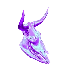 3d Skull