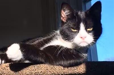 Item #2711319510957153195330944047216093418835662040940528205339224313841628218344 Media