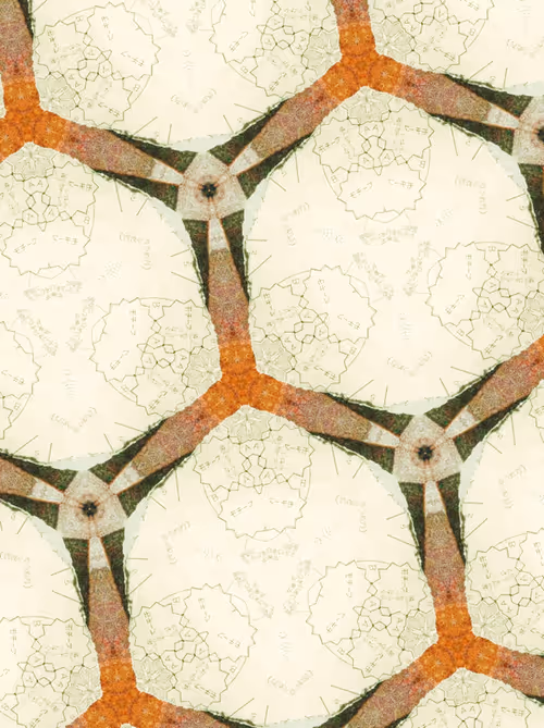 Item #26638498404056078999105226302857758976281968150850417141138925625225699655681 Media