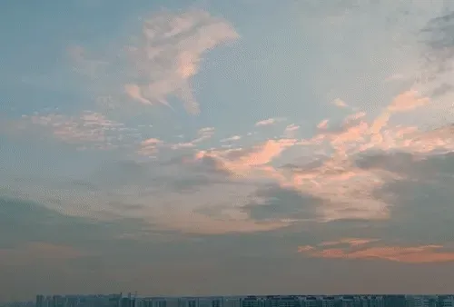 Item #54545336870129037164307986437789858251348704753246412266065009447059226361857 Media