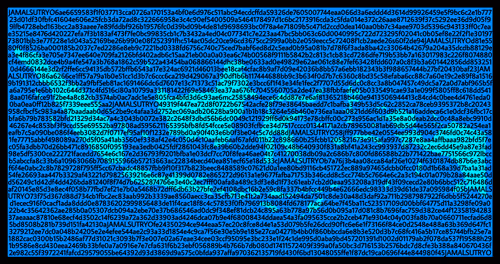 66028389681294869209201621581826360696001572498478019284794768179103958827009