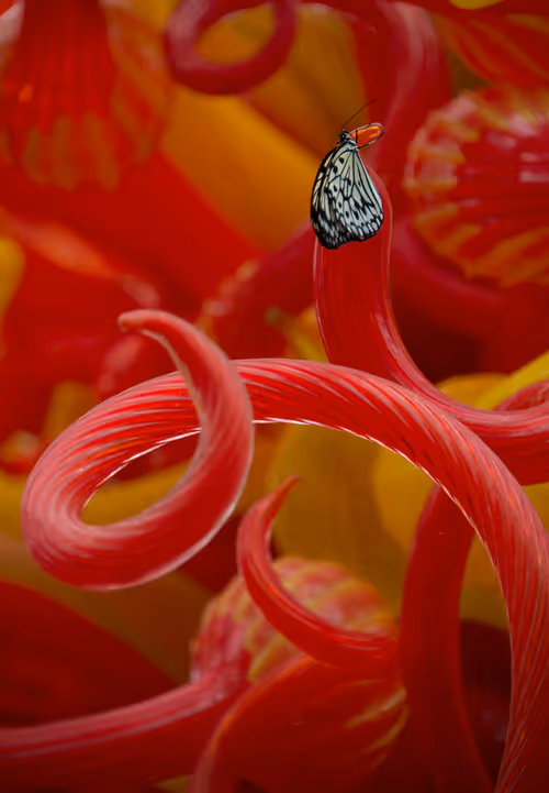 Item #16169064393399629467859942900905405490006492366557123064973208593318000197633 Media