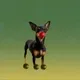 8921716540571848831283820332005787097152006111897851165791680434112789741569