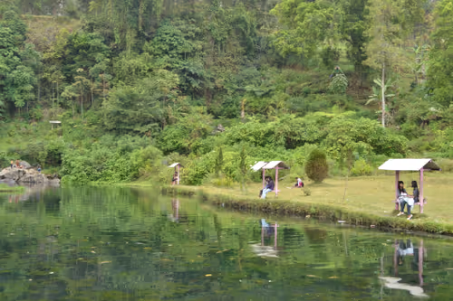 Untitled Collection #196462787