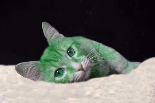 Item #32404463046074956025962299298214125770629787489343874990180996637018957021194 Media