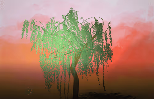 Item #19711519625028130127939549688520290096500062412698338569727015381659514044417 Media