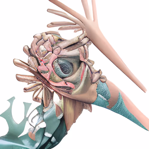 Item #78980453051159895604688474410862051180586672031509490594749406741320689516545 Media