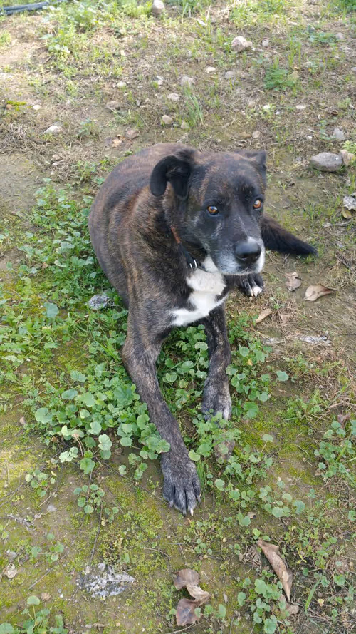 Item #7967281033894542222055828877453032867342209807388350993583448312318869372929 Media