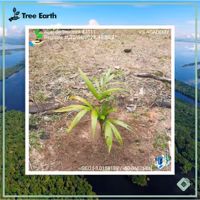 Item #8500196597889277390194123329501889087166328879864934763448349251426337161217 Media