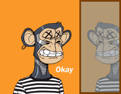 Bluezonew Collection