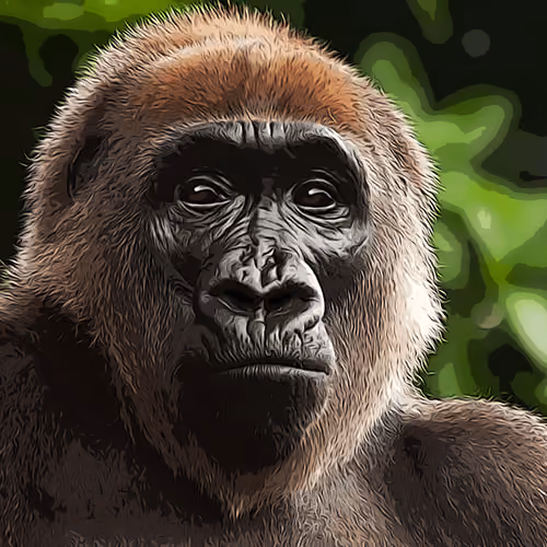 Master of Ape #2