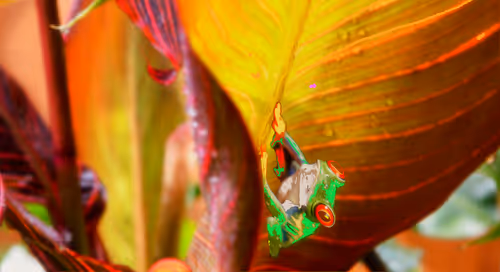 Item #41423174657448755454775180770704774351895892577704630438802697563266112028673 Media