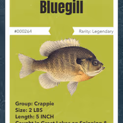 43502264269384842523243150070095810631836830099831581701628992064811129896961