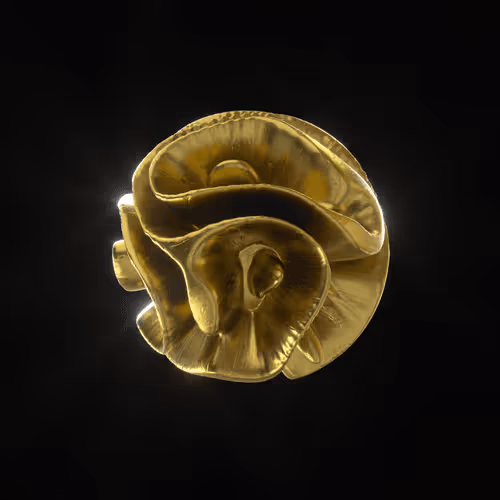 Item #83535453821146316306178013320250520096293247508023240542449519128837147852801 Media