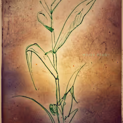 3787080761074609709675817509753112159059746763483256848434353941525966094337