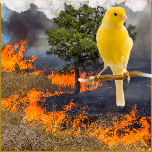 Item #112304471362178127876527947000461833550289240479554369169123442393991234977793 Media