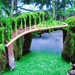 70766793388927112416592927120397770212412797709765029929861057614578360254465