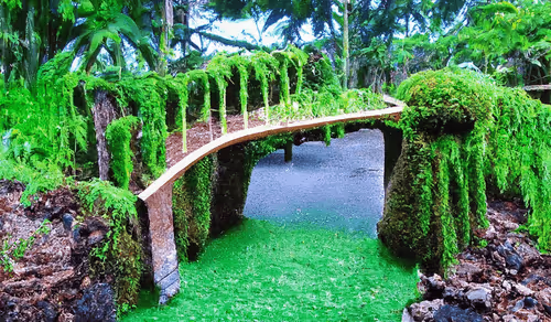 Item #70766793388927112416592927120397770212412797709765029929861057614578360254465 Media