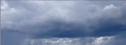 Untitled Collection #67979840