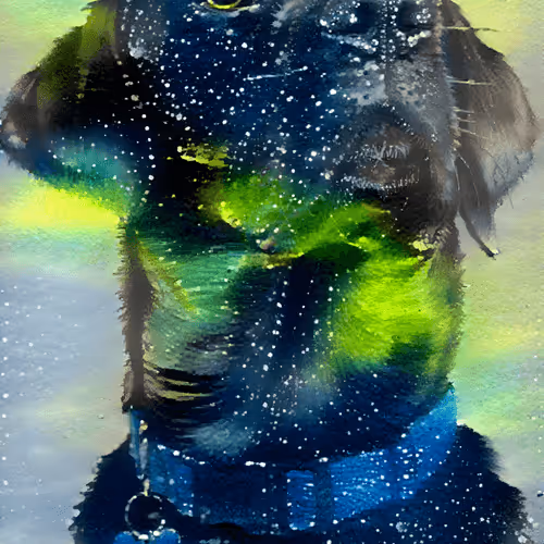 49934886084639979956635388938991289832418271326113173746571528067067378925668