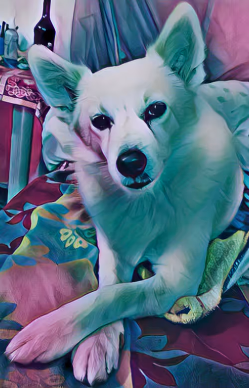 Item #23031905959659156565911612666946688064841237418599874939543073614568471134209 Media