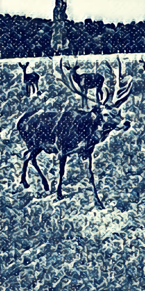 Item #8651498271250357396440676192848533063446167115421124880697921211848869281793 Media