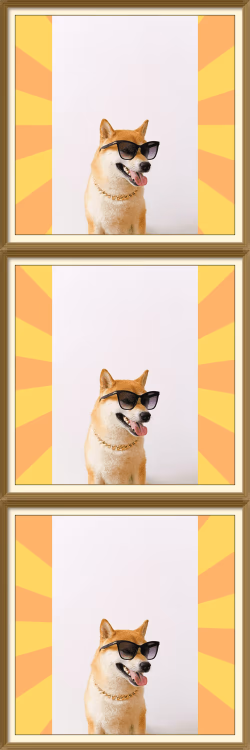 Item #108065665434435766760522700651324844344204555372000129092130959947420814802954 Media