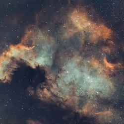 19426014595792799413298141644117656370530176021374212656739297933969126850561