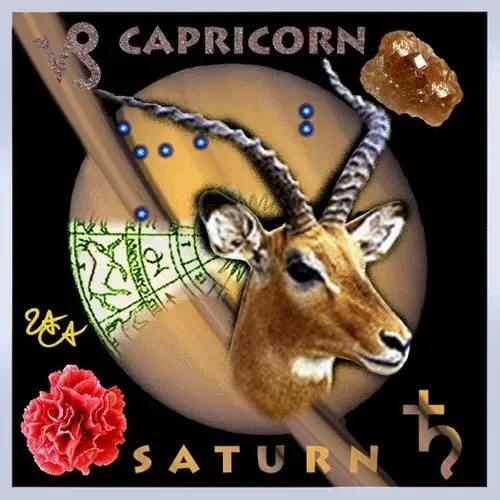 Item #60339983981198208183924633002464387266114266338716940877255950180906516348938 Media