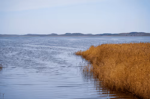 Item #87176501403928380168498398811960935080748737073158175460079780480240775593985 Media