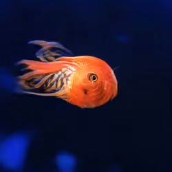 93923887731966639760197662534300547726212510779526051617655967348099494445057