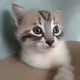 66857345337712701647096783145201374566577786118049019703184463080730231046145