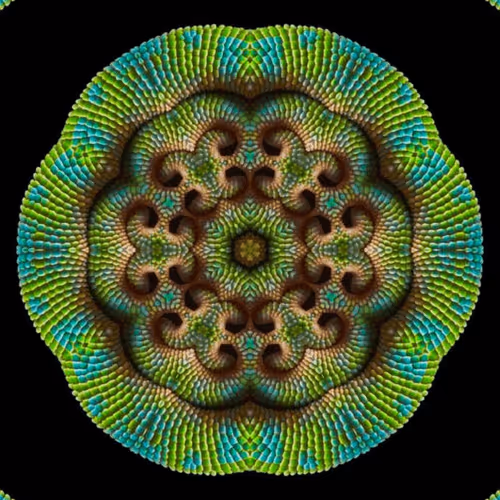 Item #47993365230904546224908061961898398429308184507692648287352000290433626275841 Media