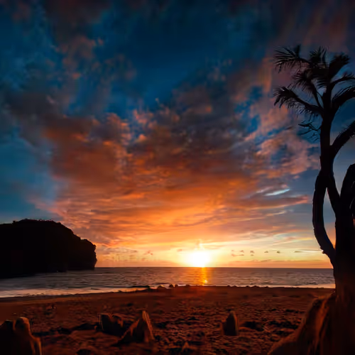 Item #104398479329666881771718976353666505075013016218349488327249406488440031150081 Media