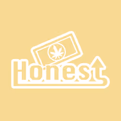 Yellow Pastel Box Logo