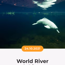 84967509520196306123188380026293221301468344843151761076076916764046488764417