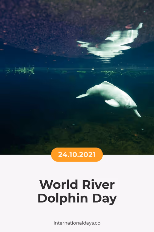 Item #84967509520196306123188380026293221301468344843151761076076916764046488764417 Media