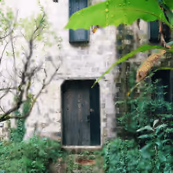 The little house