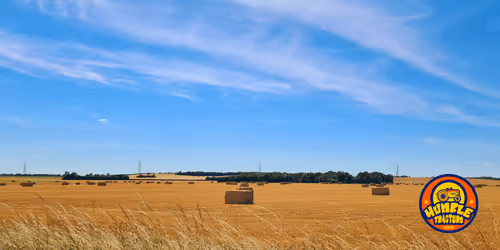 Item #35863194083128256797647772425284652682645032595179500226087347116422851461121 Media