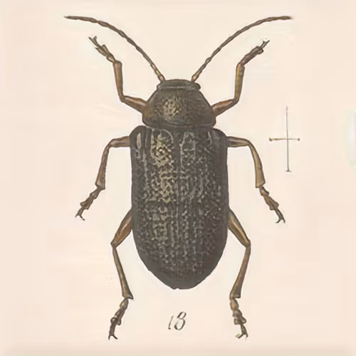 Item #58241160855422744817468407088196322100109565521561100950236904698164669317121 Media