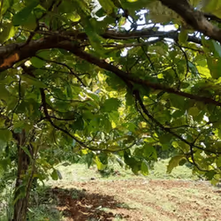 39916610678052500138596211548792698776473563312308341193271399259929543966721