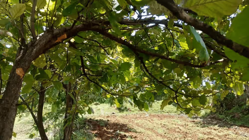 39916610678052500138596211548792698776473563312308341193271399259929543966721