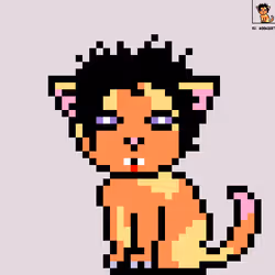 105246534807592399097770137437662661118868908125283424673453538137180722954241